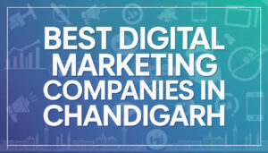 Best Digital Marketing Companies in Chandigarh